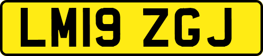 LM19ZGJ