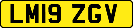 LM19ZGV