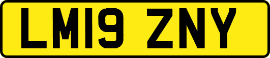 LM19ZNY