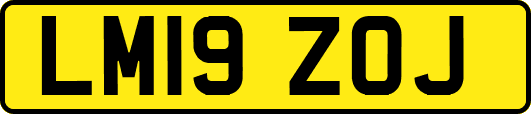 LM19ZOJ