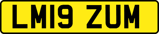 LM19ZUM