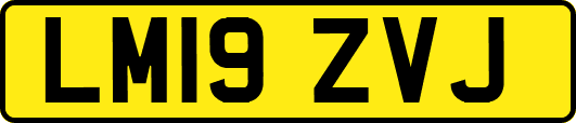 LM19ZVJ