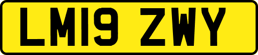 LM19ZWY