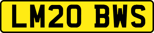 LM20BWS