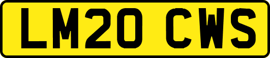 LM20CWS