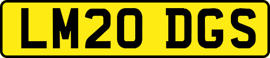 LM20DGS