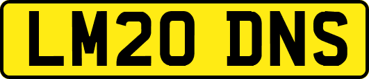 LM20DNS