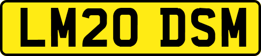 LM20DSM