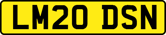 LM20DSN