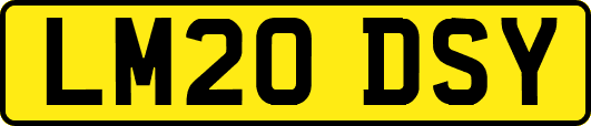 LM20DSY