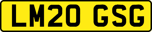 LM20GSG