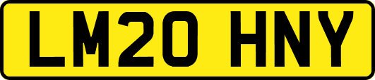 LM20HNY