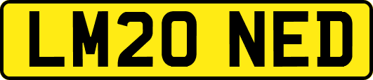 LM20NED