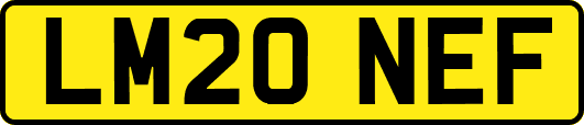 LM20NEF
