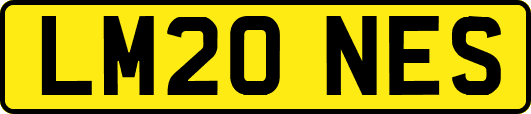 LM20NES