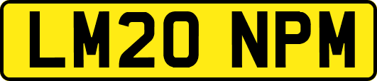 LM20NPM