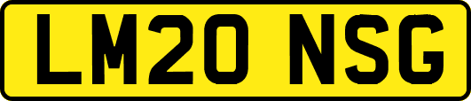 LM20NSG