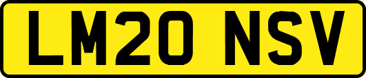 LM20NSV