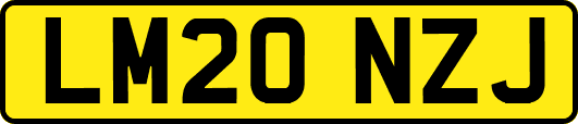 LM20NZJ