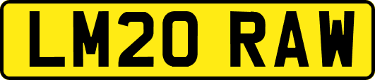 LM20RAW