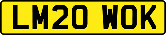 LM20WOK