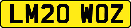 LM20WOZ