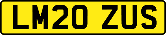 LM20ZUS