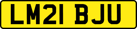 LM21BJU