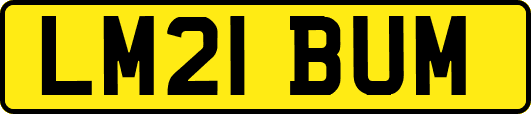LM21BUM