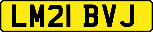 LM21BVJ