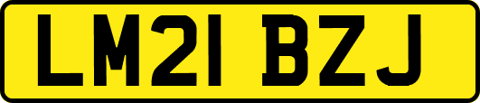 LM21BZJ