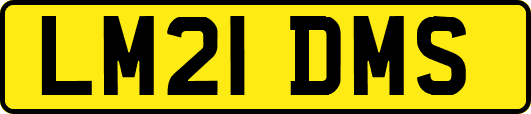 LM21DMS