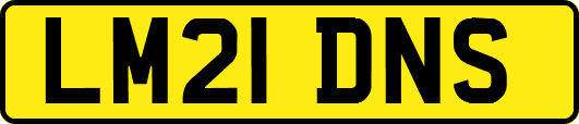 LM21DNS