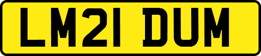 LM21DUM