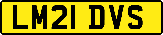 LM21DVS