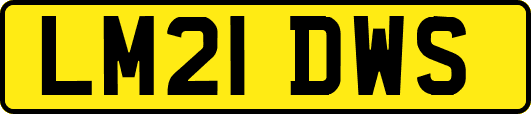 LM21DWS