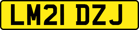 LM21DZJ