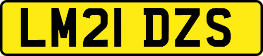 LM21DZS