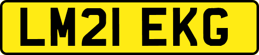 LM21EKG