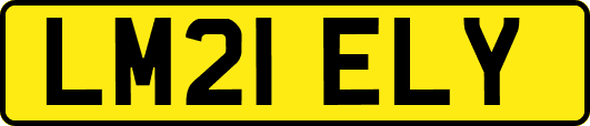 LM21ELY