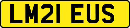 LM21EUS