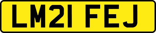 LM21FEJ