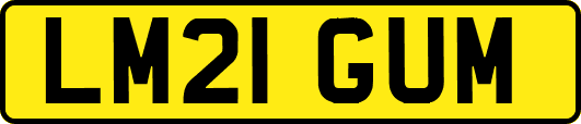 LM21GUM