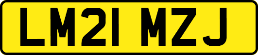 LM21MZJ