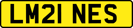 LM21NES