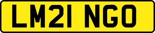 LM21NGO