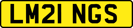 LM21NGS