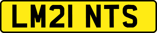 LM21NTS