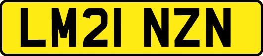 LM21NZN