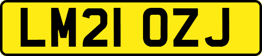 LM21OZJ